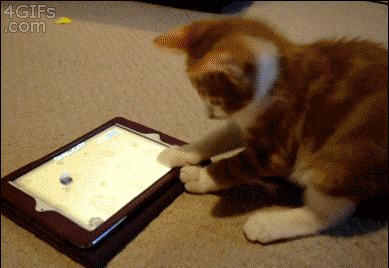 小猫玩的平板抓鱼游戏叫什么名字？